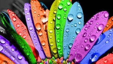 Kumaha leungit beurat dina 6 petars diet